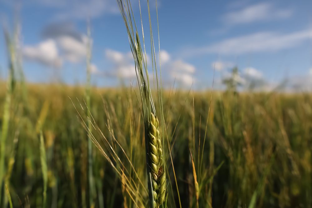 Фотография автора 5270869@mail.ru