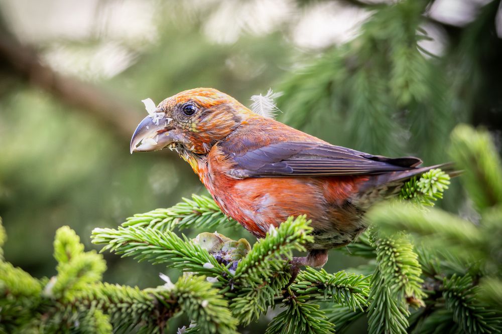 Photograph by Gevork Gukasyan