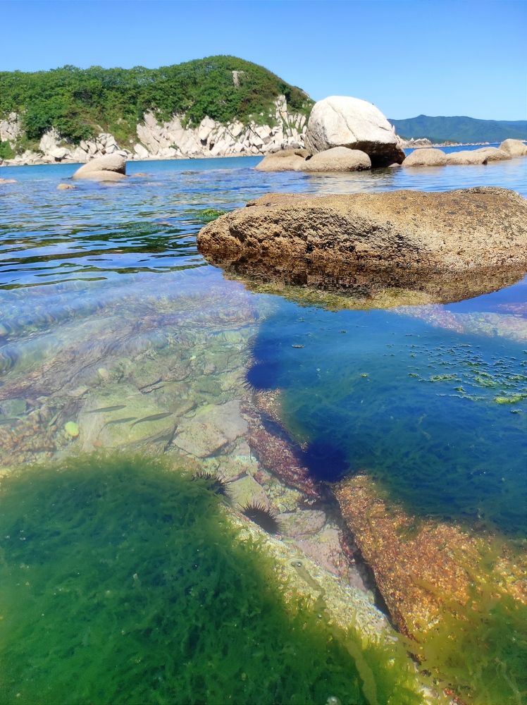 Photograph by Светлана Башаева