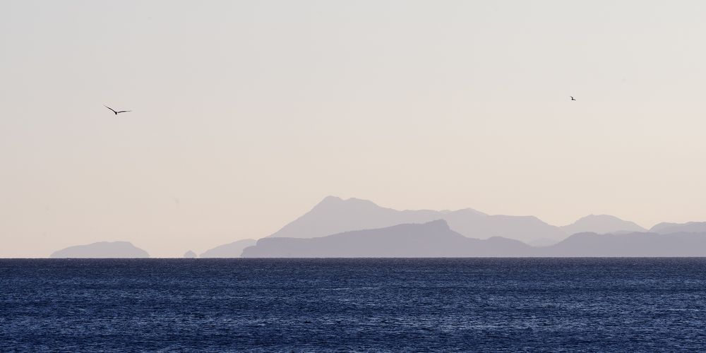 Фотография автора Василий Рябовол