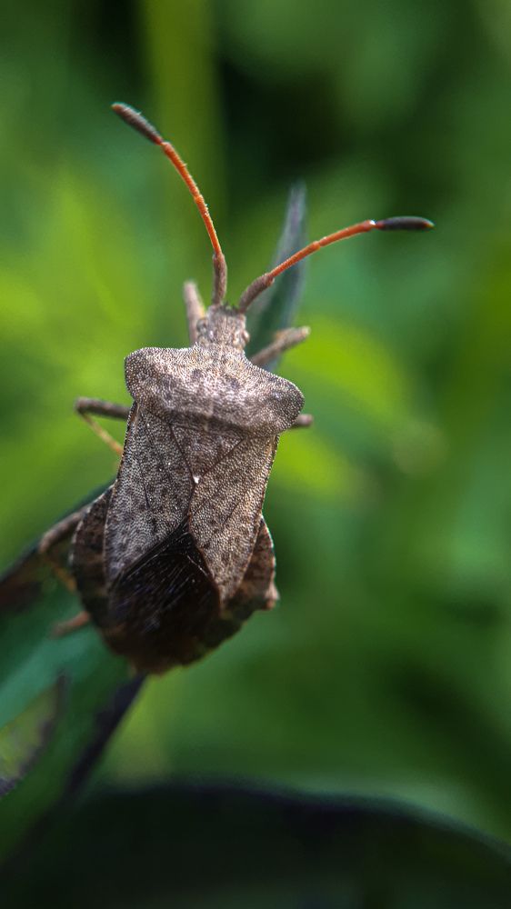 Photograph by Алиса Чугунова