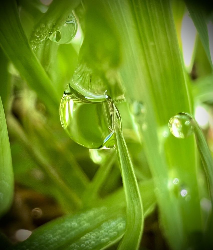 Photograph by ANGIE FREESE