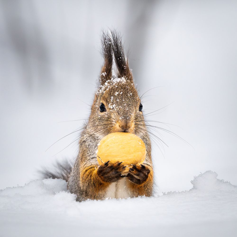 Photograph by Gevork Gukasyan