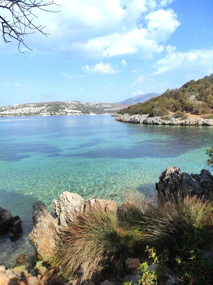 Photograph by Светлана Башаева