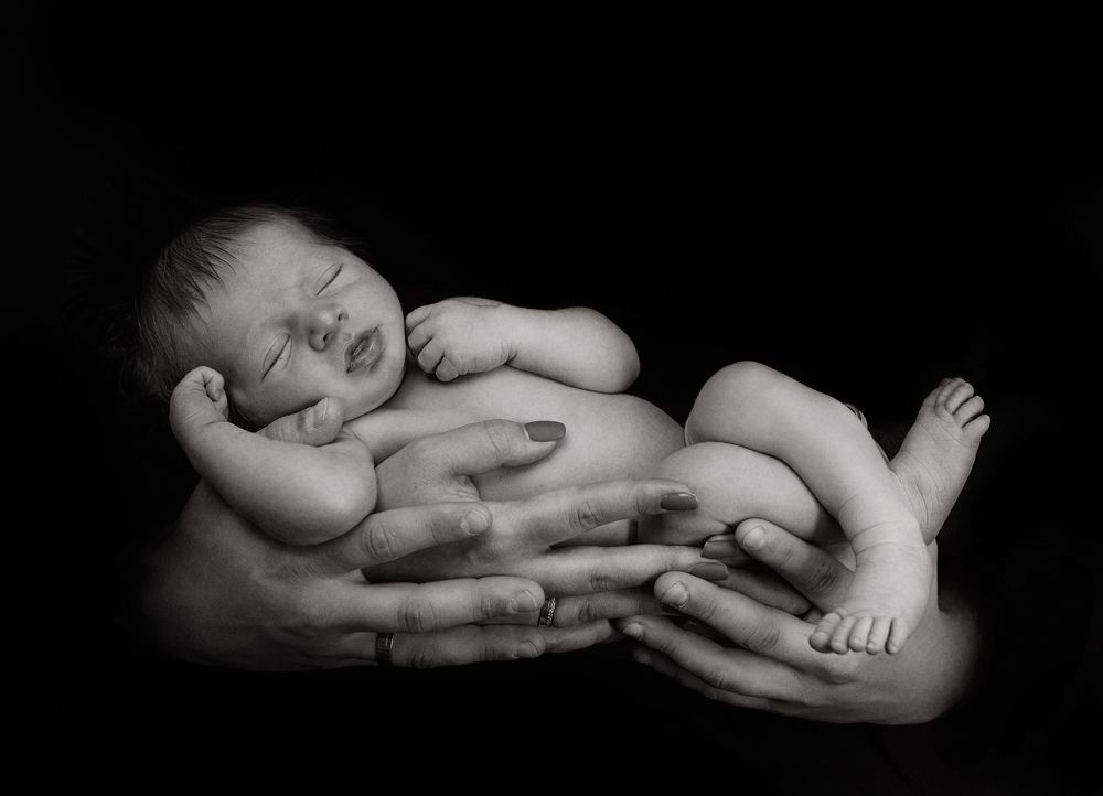 Photograph by Julia Stuckert