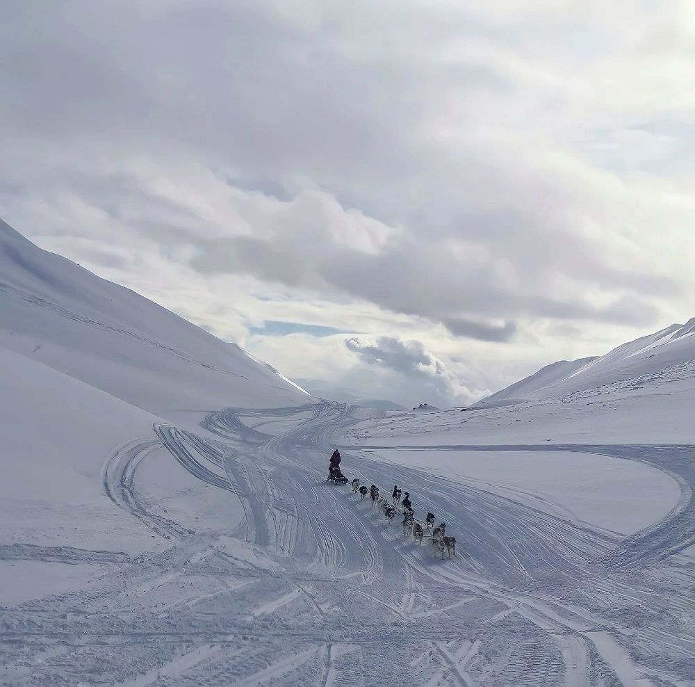 Фотография автора Ольга Сорокина