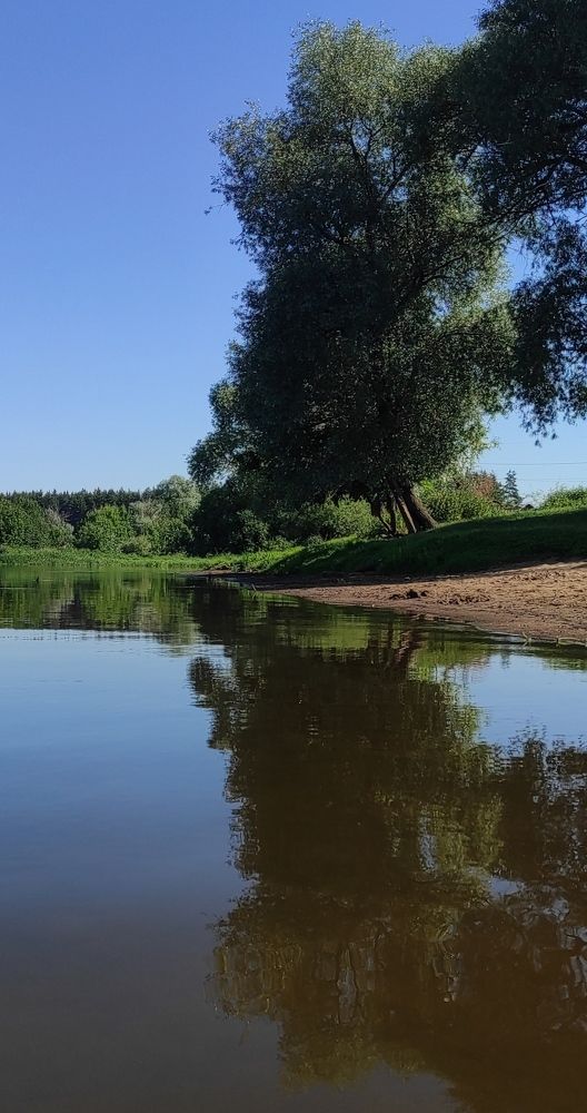 Photograph by Елена Попова