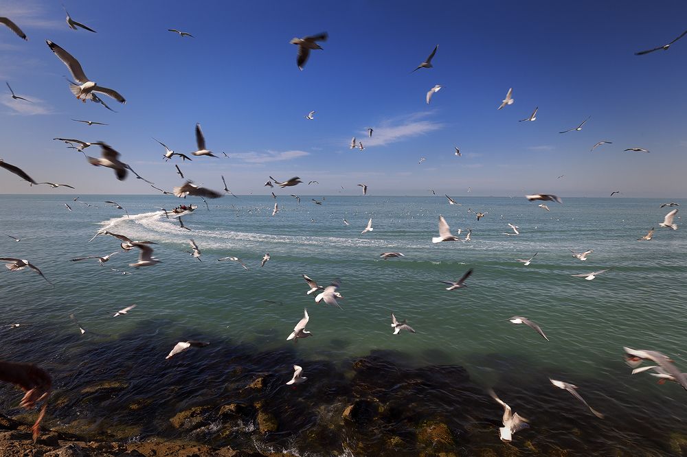 Photograph by Hengameh pirooz