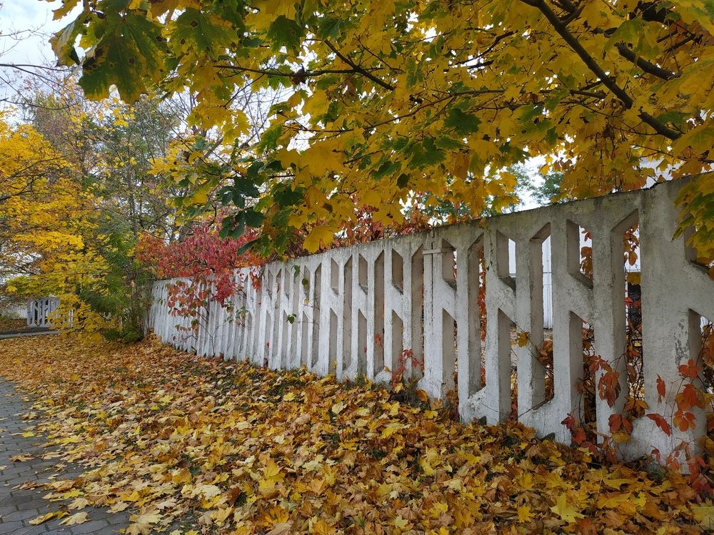 Ограда / Fence