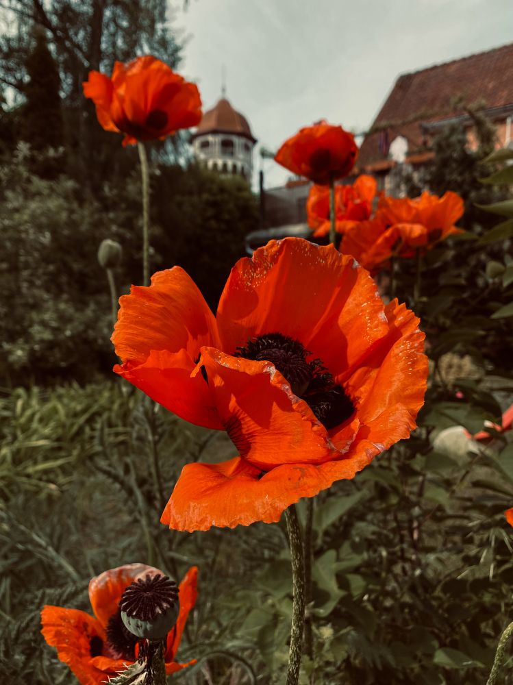 Фотография автора Ольга Артковская