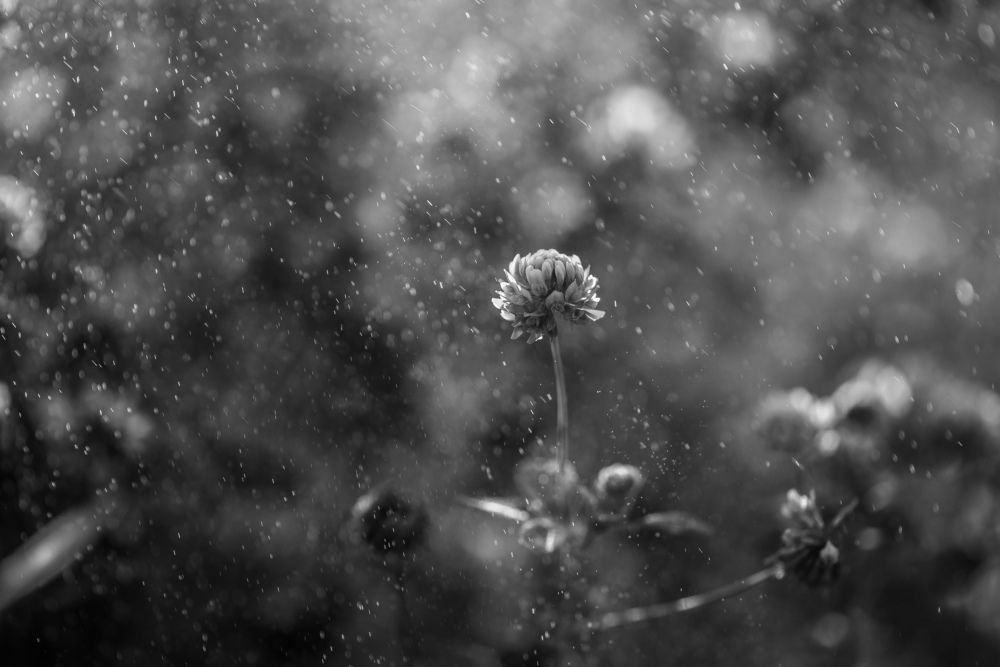 Photograph by Анна Бобкова