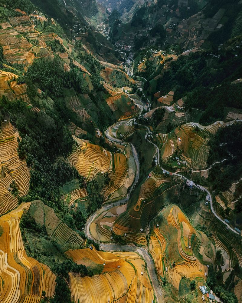 Photograph by Анастасия Сауль