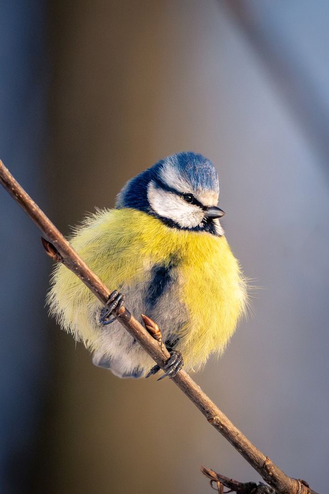 Photograph by Gevork Gukasyan