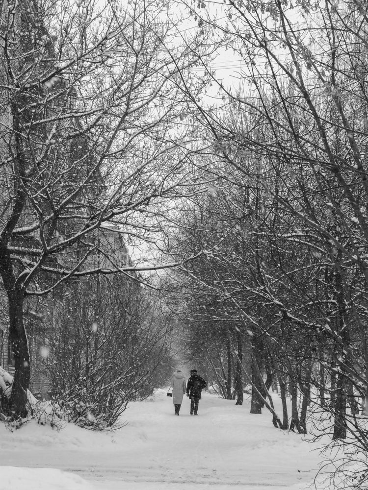 Фотография автора Ирина Дашевская