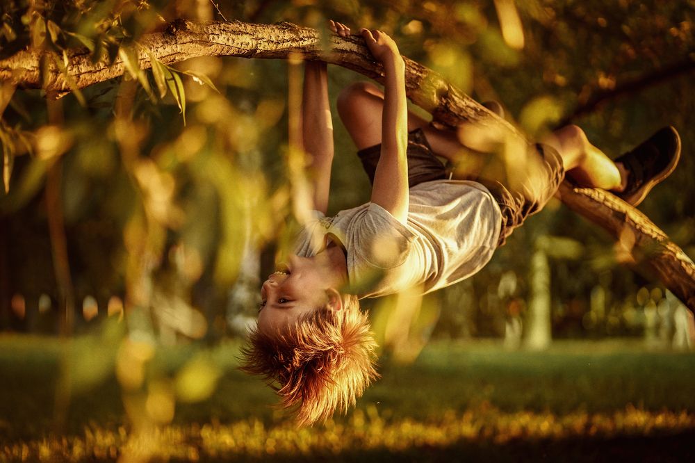 Фотография автора Elena Budanova