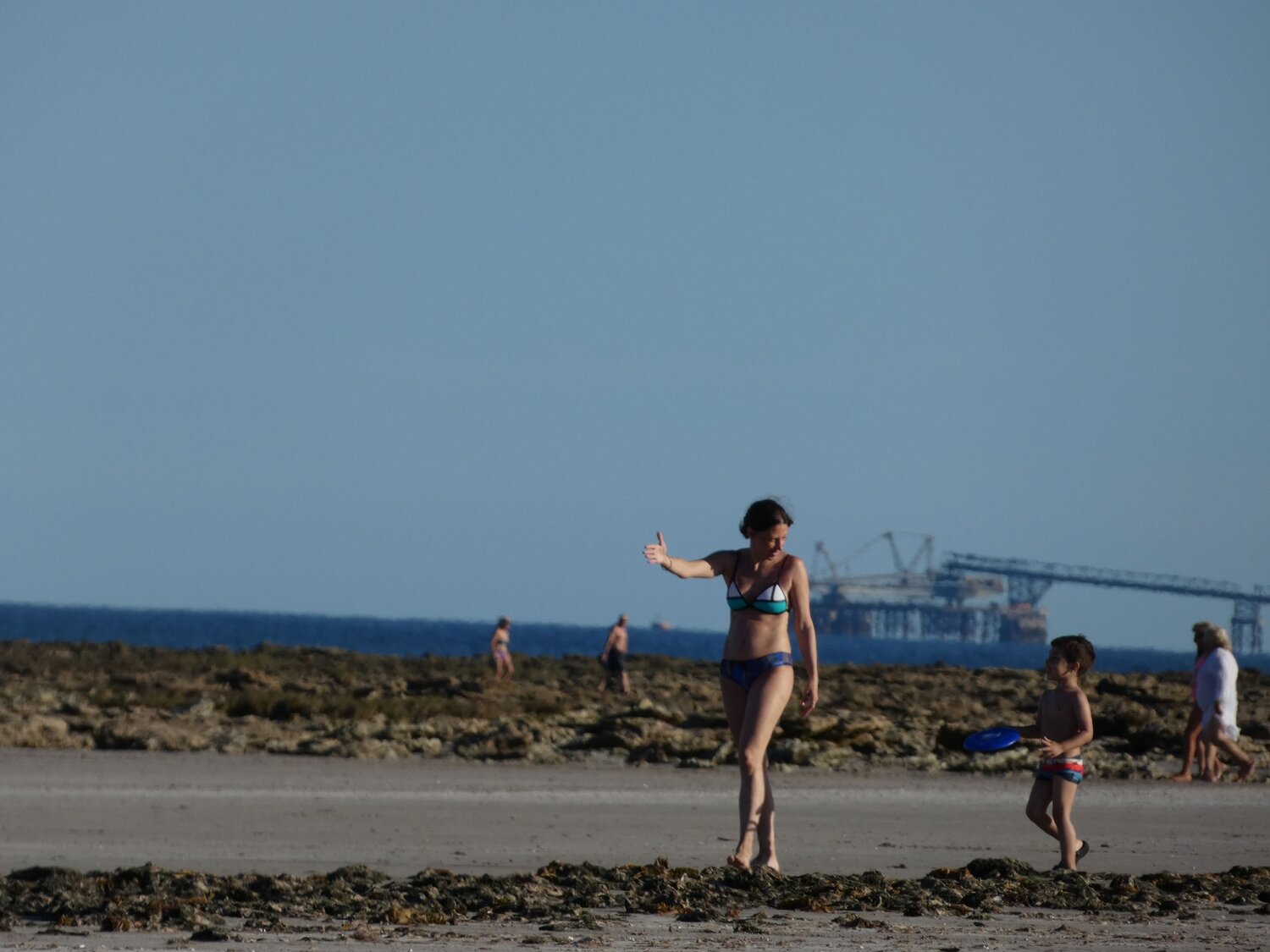 Photo #10391544