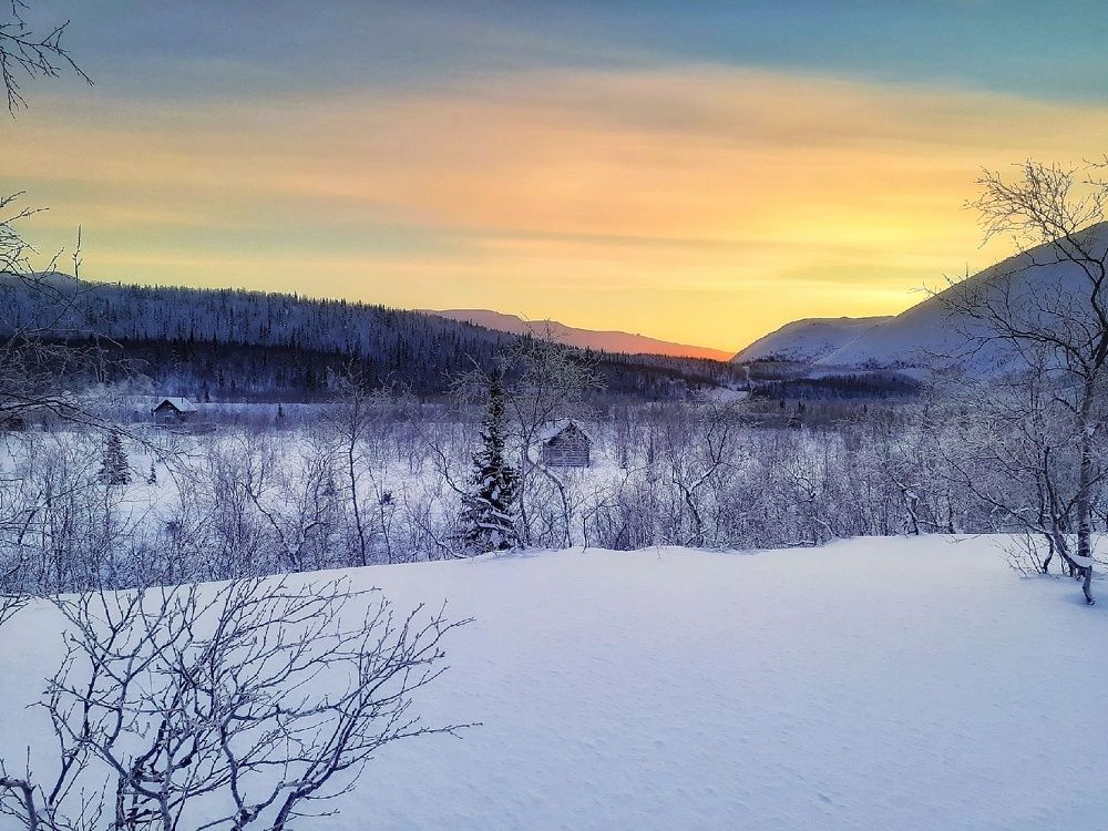 Фотография автора Ольга Сорокина