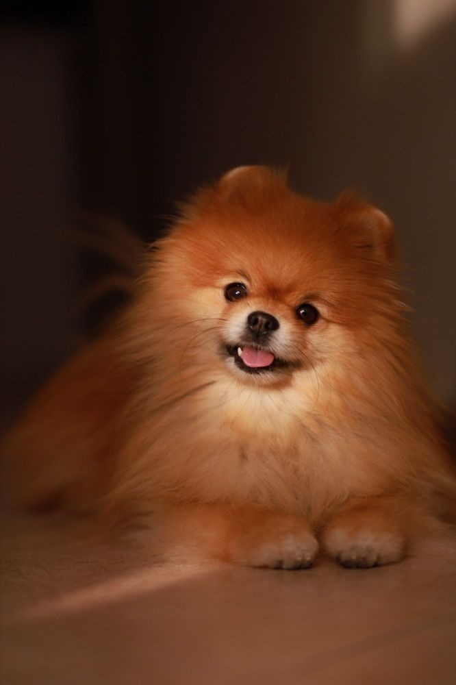 Photograph by Юлия Озерова