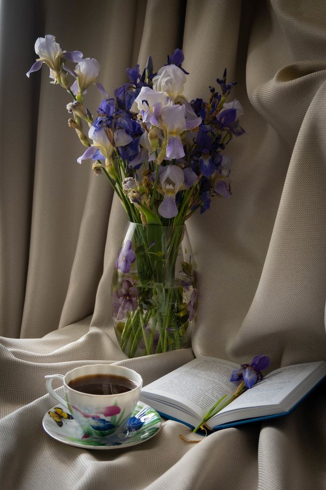 Фотография автора Оксана Белозерская