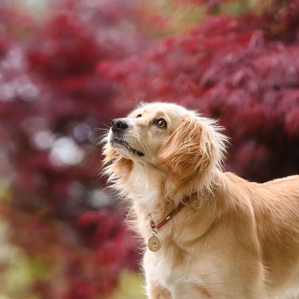 Photograph by Lesnoe Photo