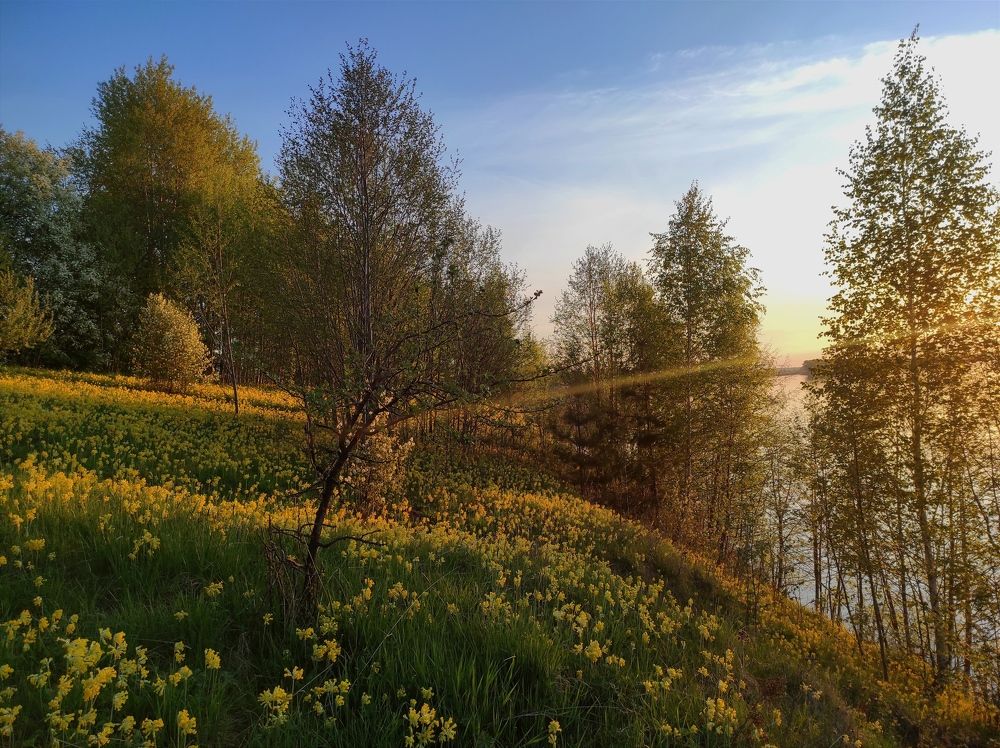 Photograph by Светлана Башаева