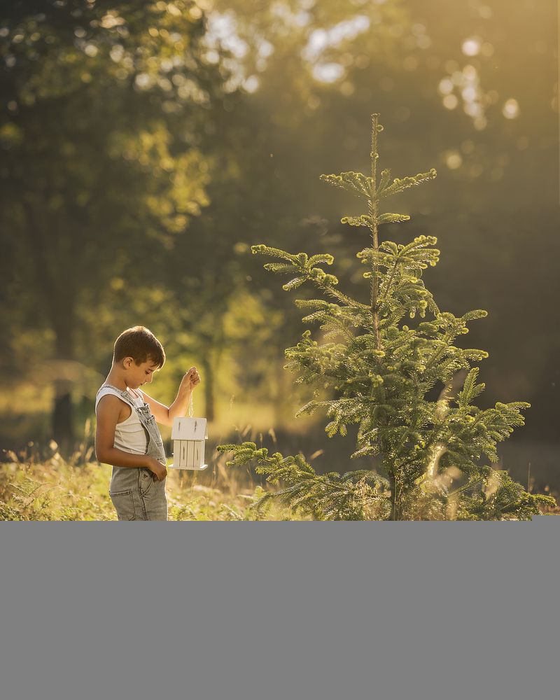 Фотография автора Aida Cea