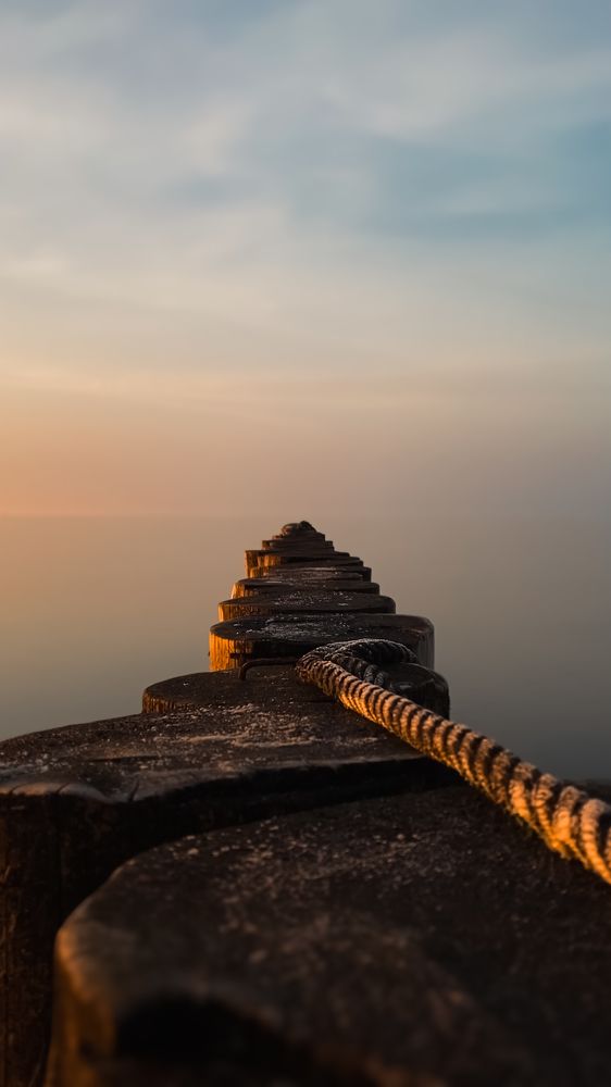 Фотография автора Ольга Артковская