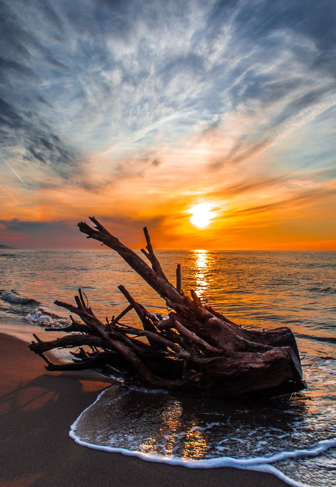 Photograph by MOHAMMED BOULHME