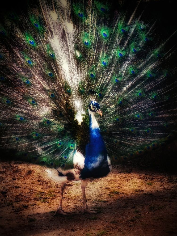 Photograph by Екатерина Цыбулькина