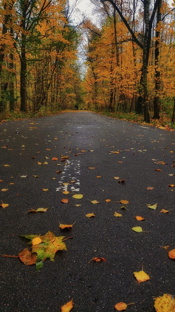 Photograph by Ирина Горбач