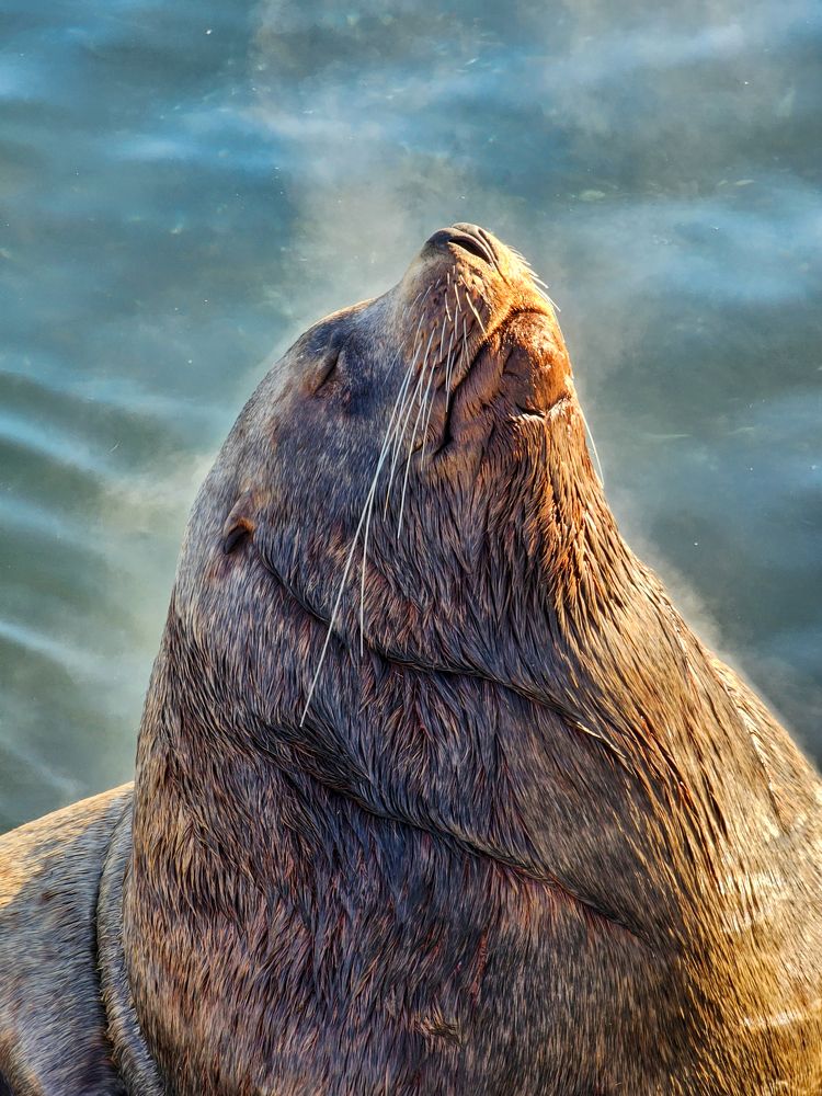 Photograph by Александр Васильев