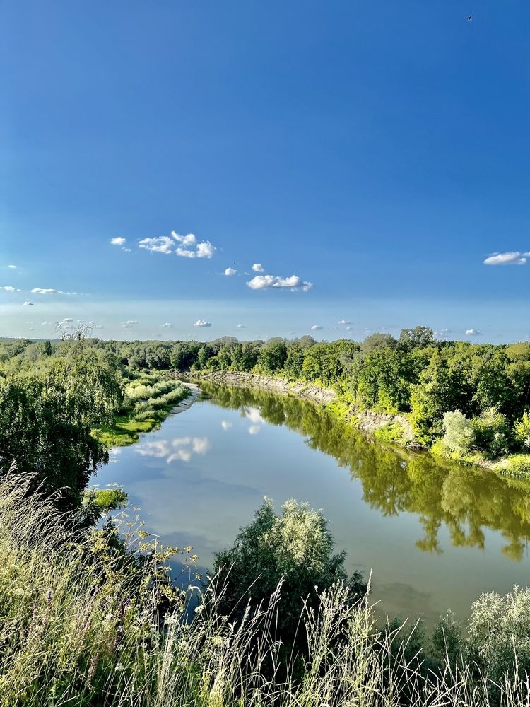 Фотография автора Елена Чиликина