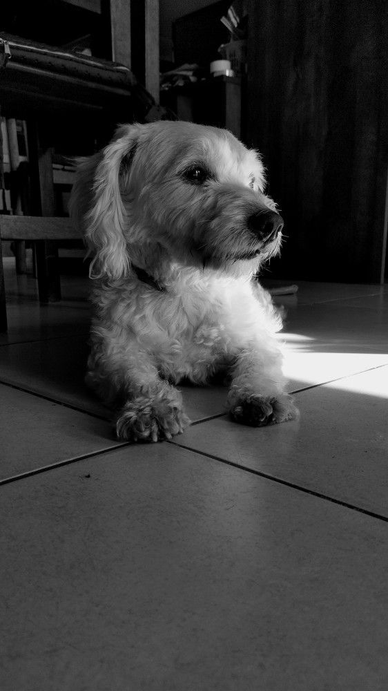 Photo #10391702