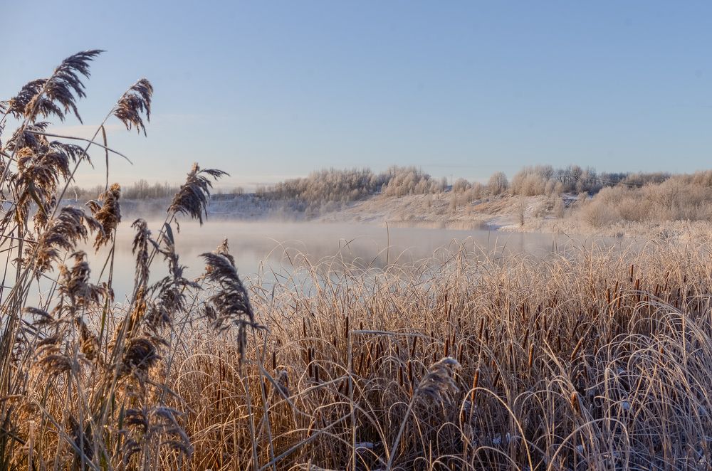 Photograph by Киселев Анатолий