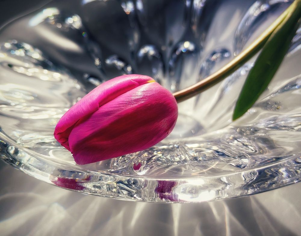 Photograph by Ekaterina Fadeeva