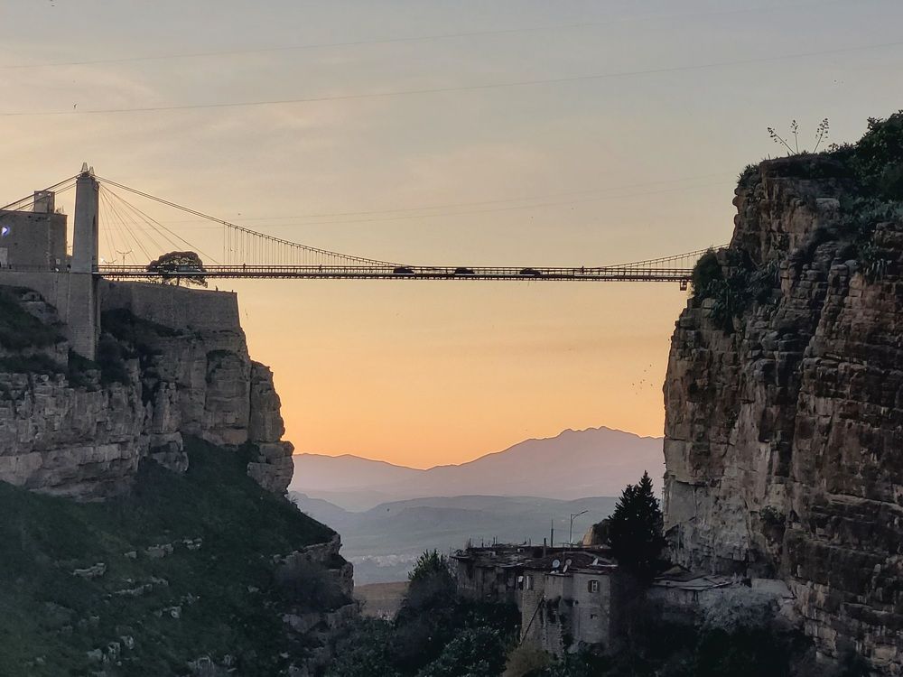 Фотография автора Светлана Зимина