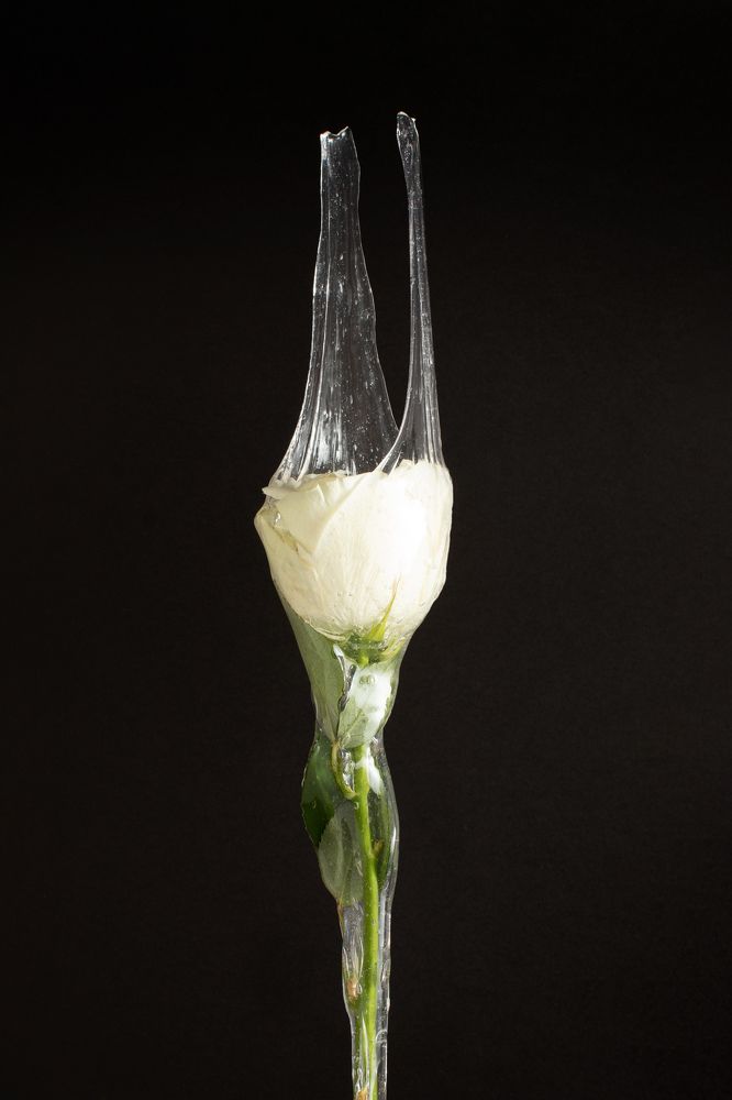 Photograph by Rajka Milojic