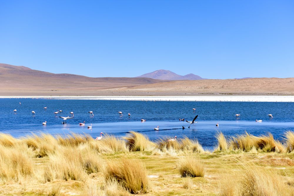 Photograph by Long Nguyen