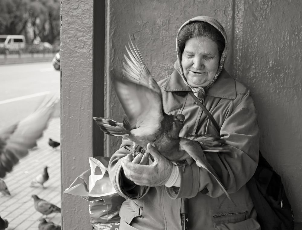 Любовь и голуби.