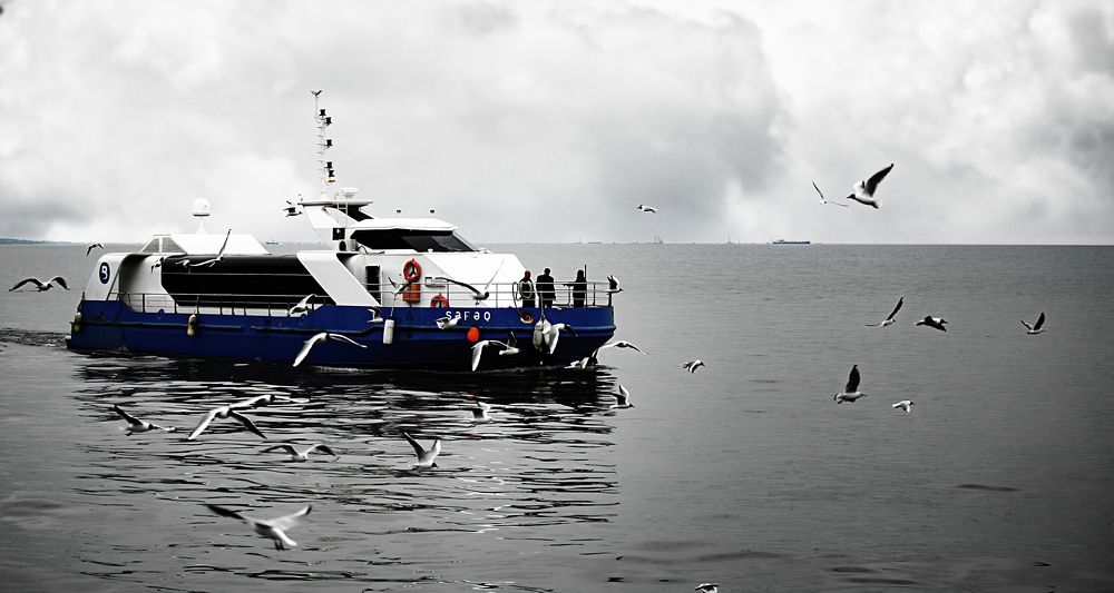 Photograph by Soroush Reza