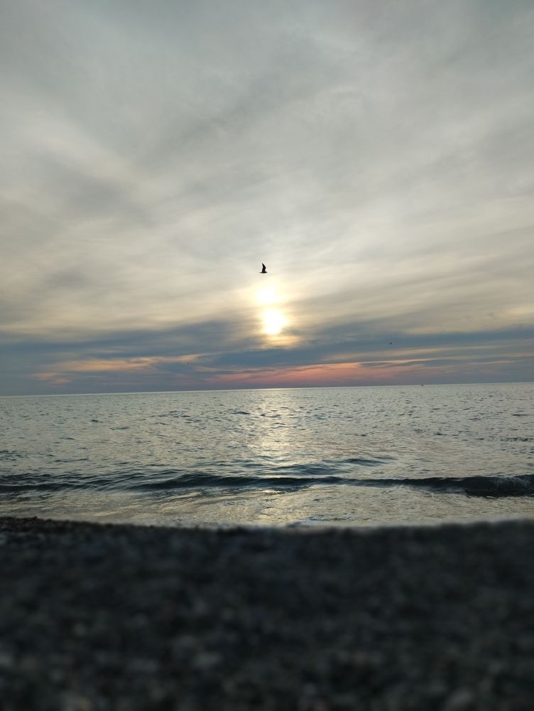 Photograph by Кристина Видягина