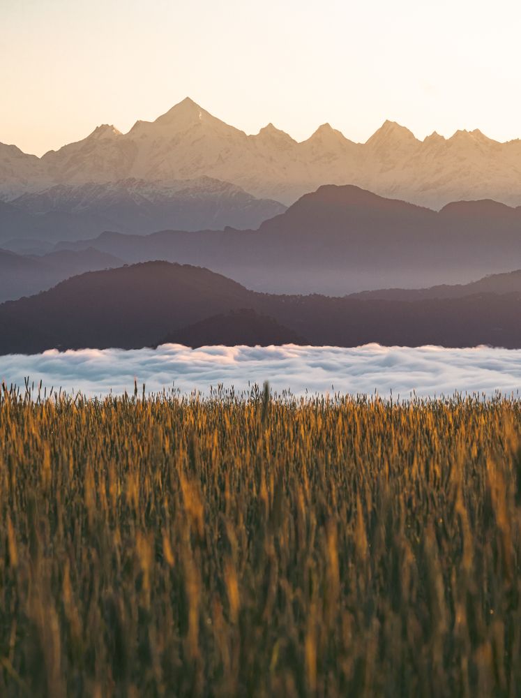 Фотография автора digvijay singh janoti