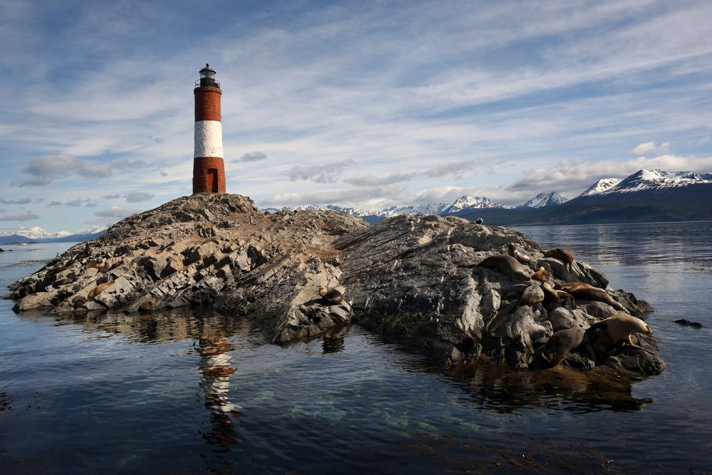 Photograph by SI SABER LOTFI