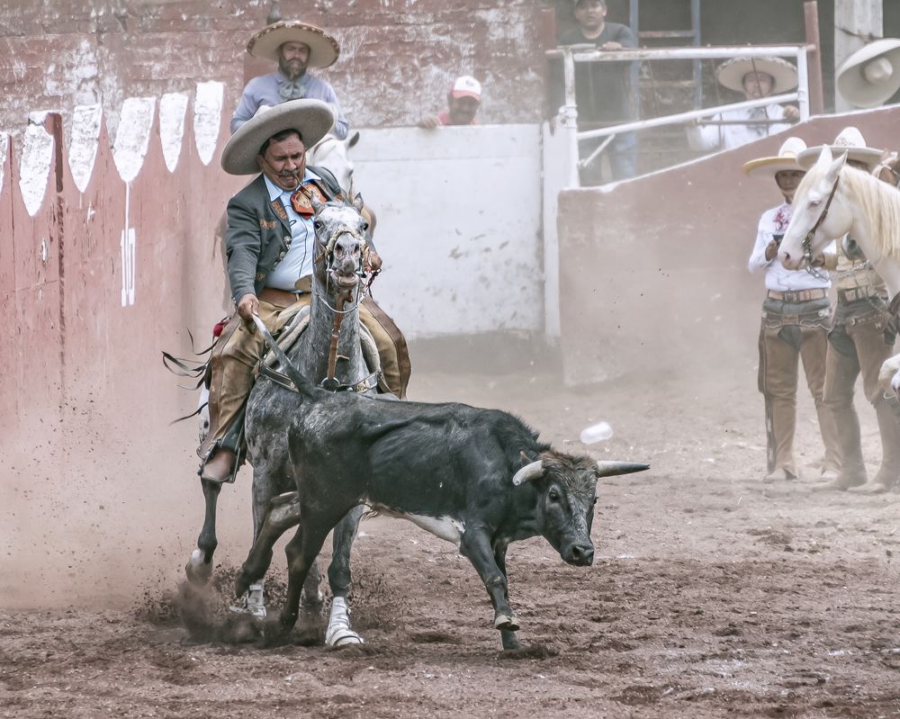 Photograph by Aлена Плясова