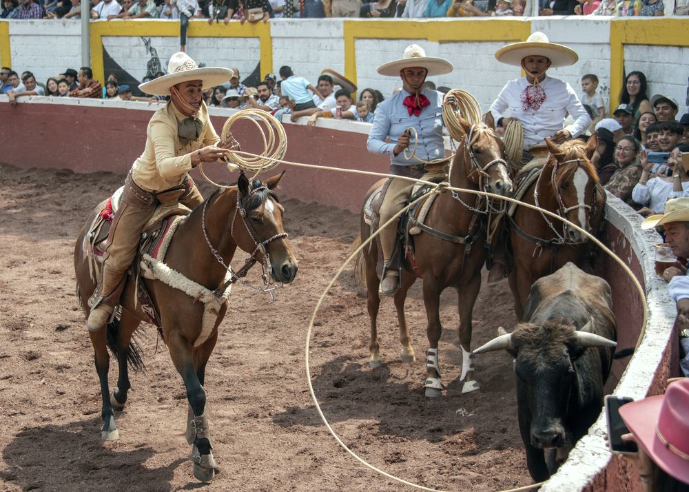 Photograph by Aлена Плясова