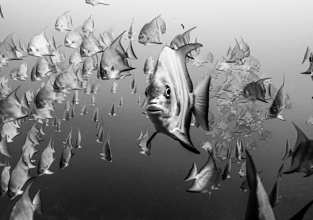 Photograph by Ceci Ver