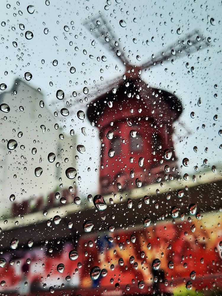 Photograph by SI SABER LOTFI