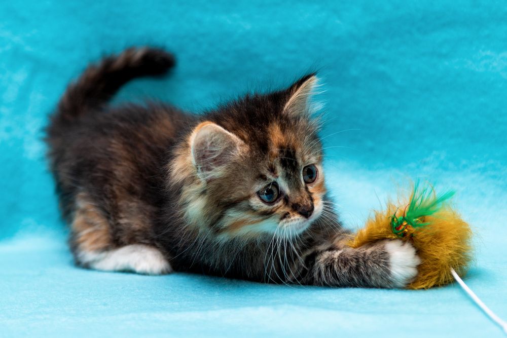 Photograph by Оксана Пучкова