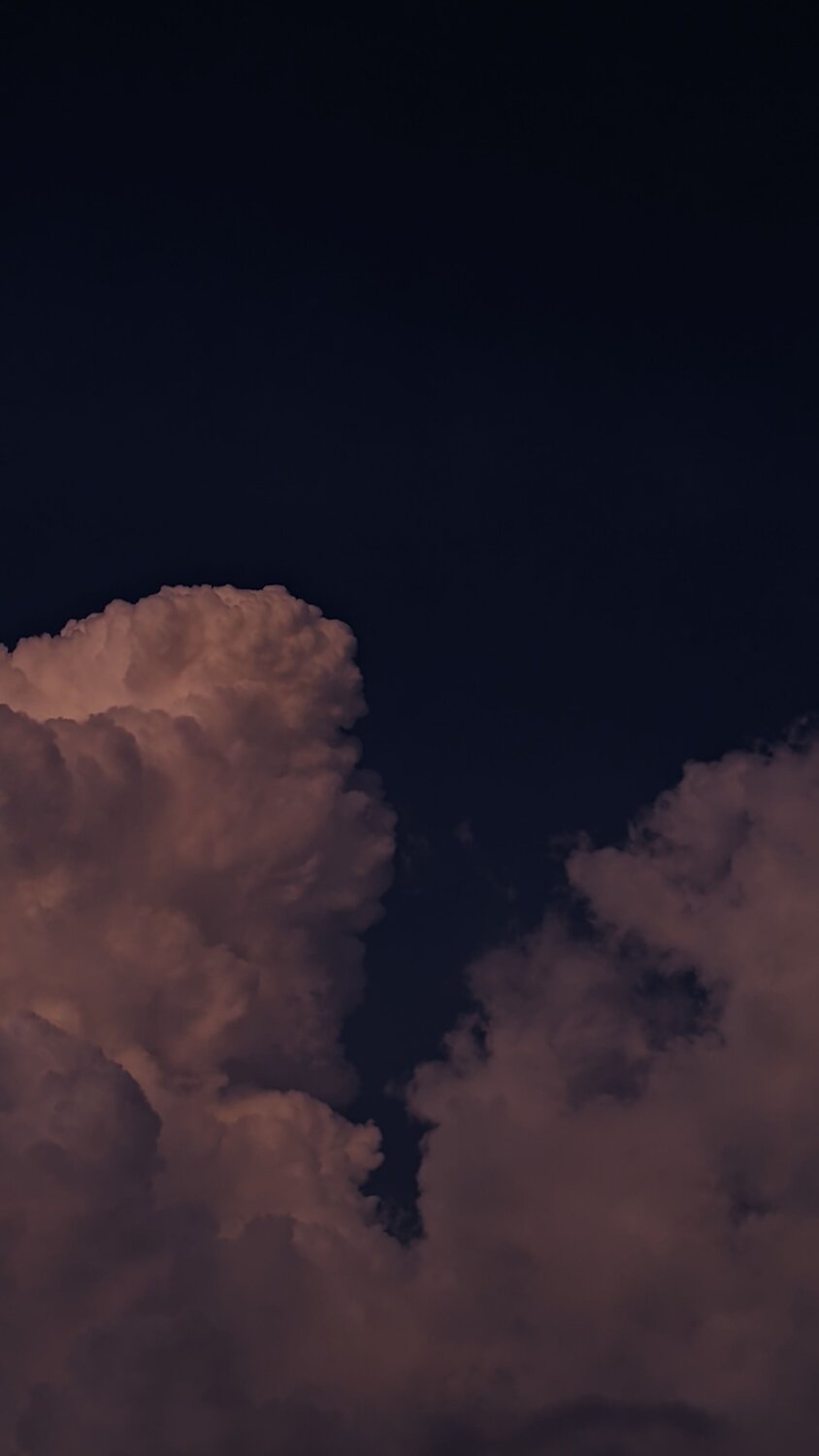 Photo #10392381