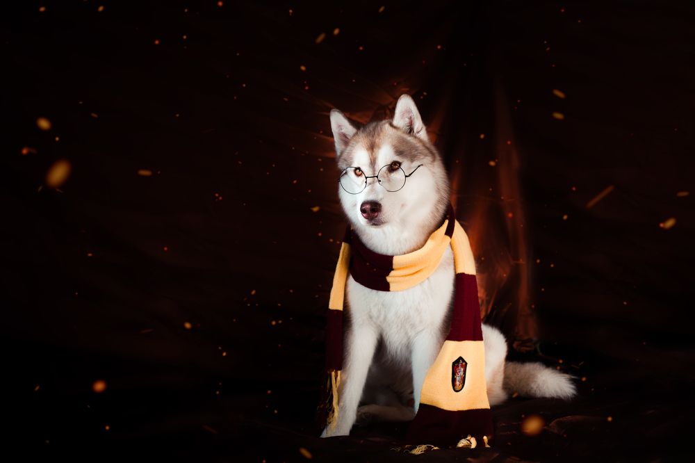 Photograph by Алина Перескокова